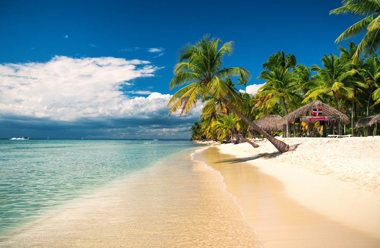 Plage magnifique de sable blanc et eau transparente avec des palmiers et un centre de kitesurf en république dominicaine