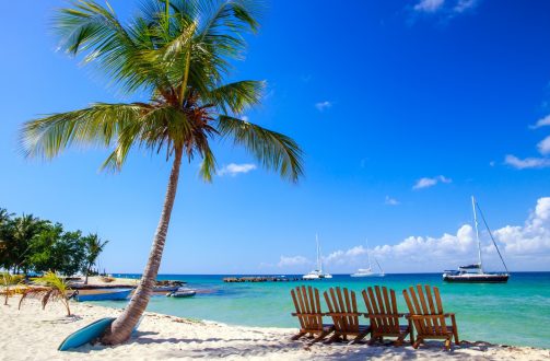 Une plage en république dominicaine avec un cocotier et des transat sur le sable.