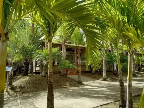 cottage-martinique